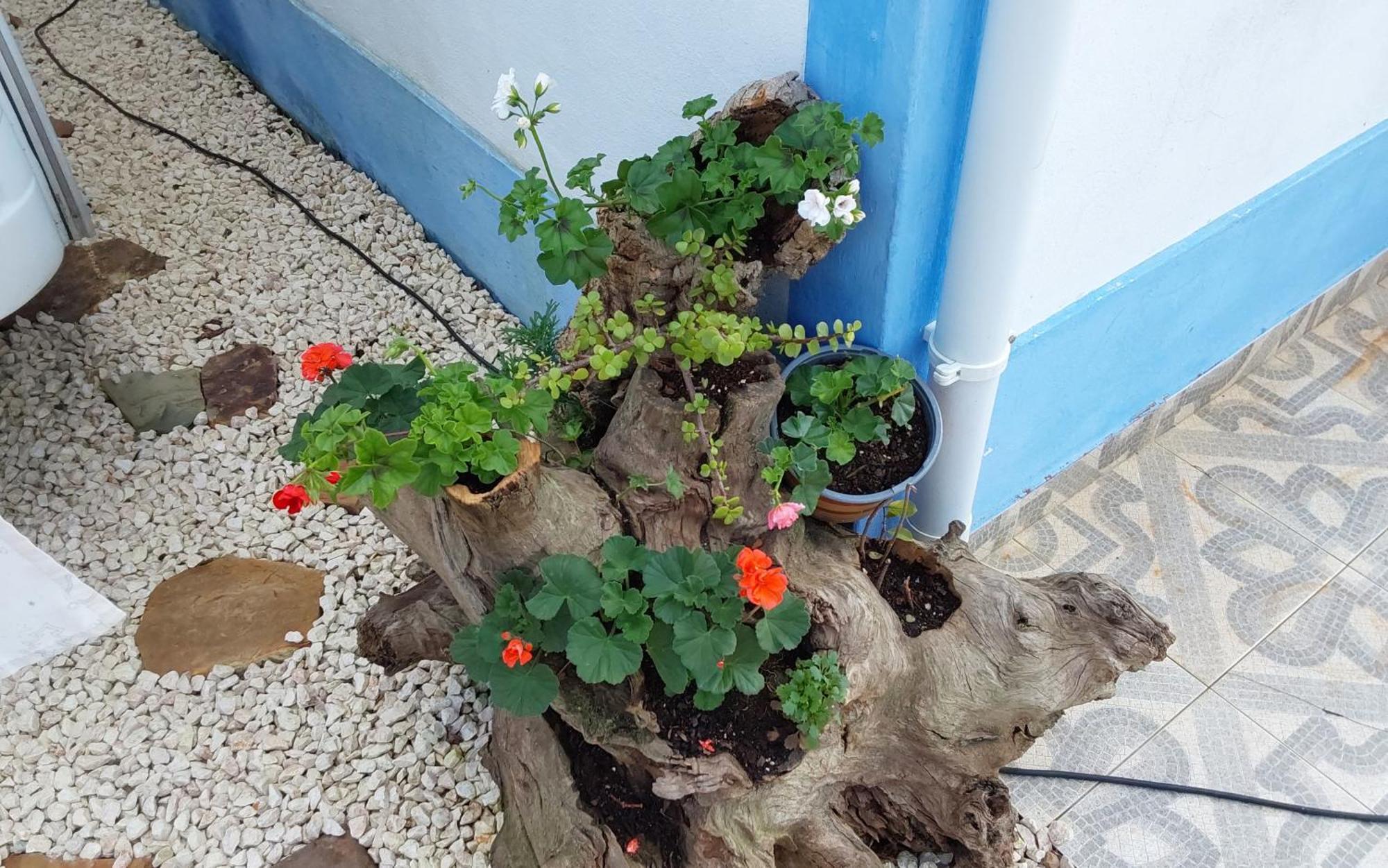 Casa Do Brejao Campo E Praia Odemira Exterior foto